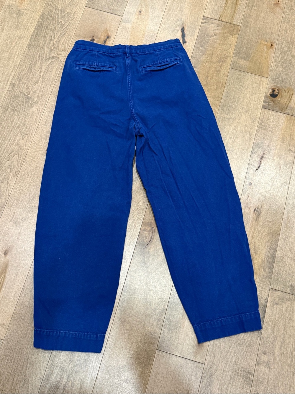 Everlane Arc Canvas Pants - Picture 2 of 4